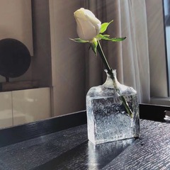 1F0E95E6-1106-4BF8-A9AE-B607B47D8E88/L0/001
