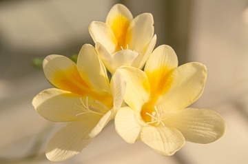 53715