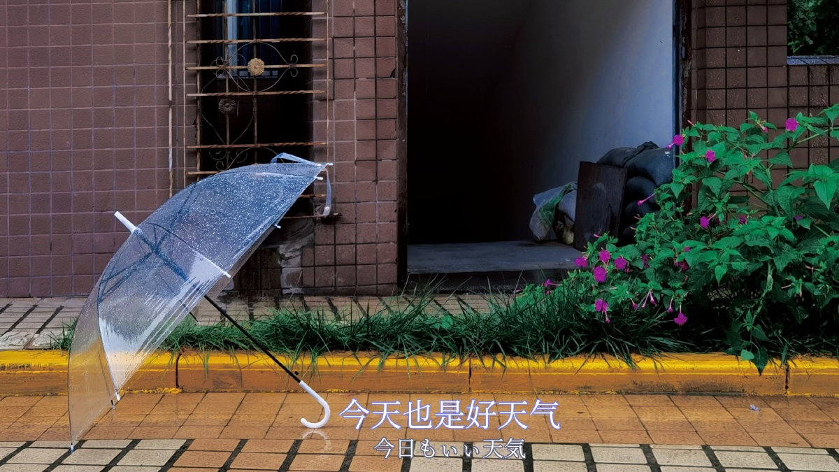 今天会是个好心情