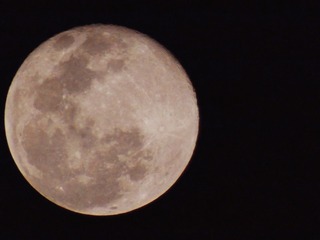 21E3D337-504C-4E92-932A-302A3198C364/L0/001