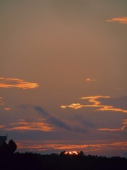 18B07098-8F37-4738-980B-CC9ECDA6BAD6/L0/001