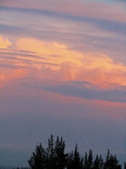 A2D88551-EB9F-4F8E-B358-C13901352929/L0/001