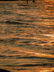 B20CD12A-0426-49CA-8C56-407A7D2027AE/L0/001