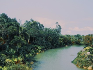 8F77B6C6-E2B3-401D-96EF-C9E871E2D3E6/L0/001