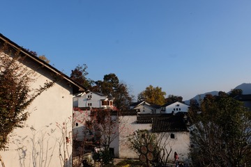 2878428