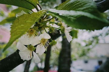 E9300C78-FDBB-41B5-A97F-FA8A38B747C6/L0/001