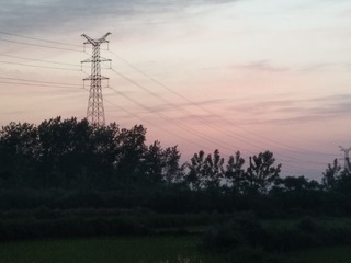 1000033155