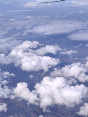 1000010950