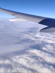 1000010959