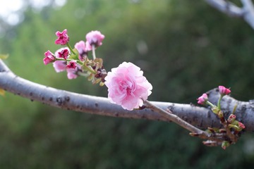 478E2241-76DF-40AB-B908-59ACAA69C4D8/L0/001