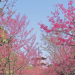 11927A6D-EEB8-44F9-88E0-0AEB48A2A26B/L0/001