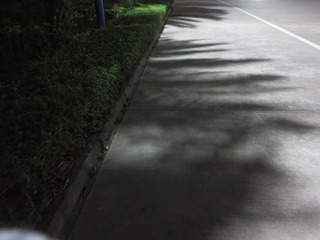 2850469