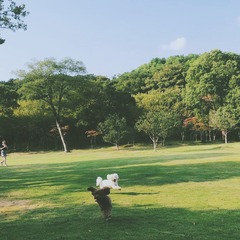 173FF3C9-B794-4F0F-843A-5B51DB1C0E07/L0/001