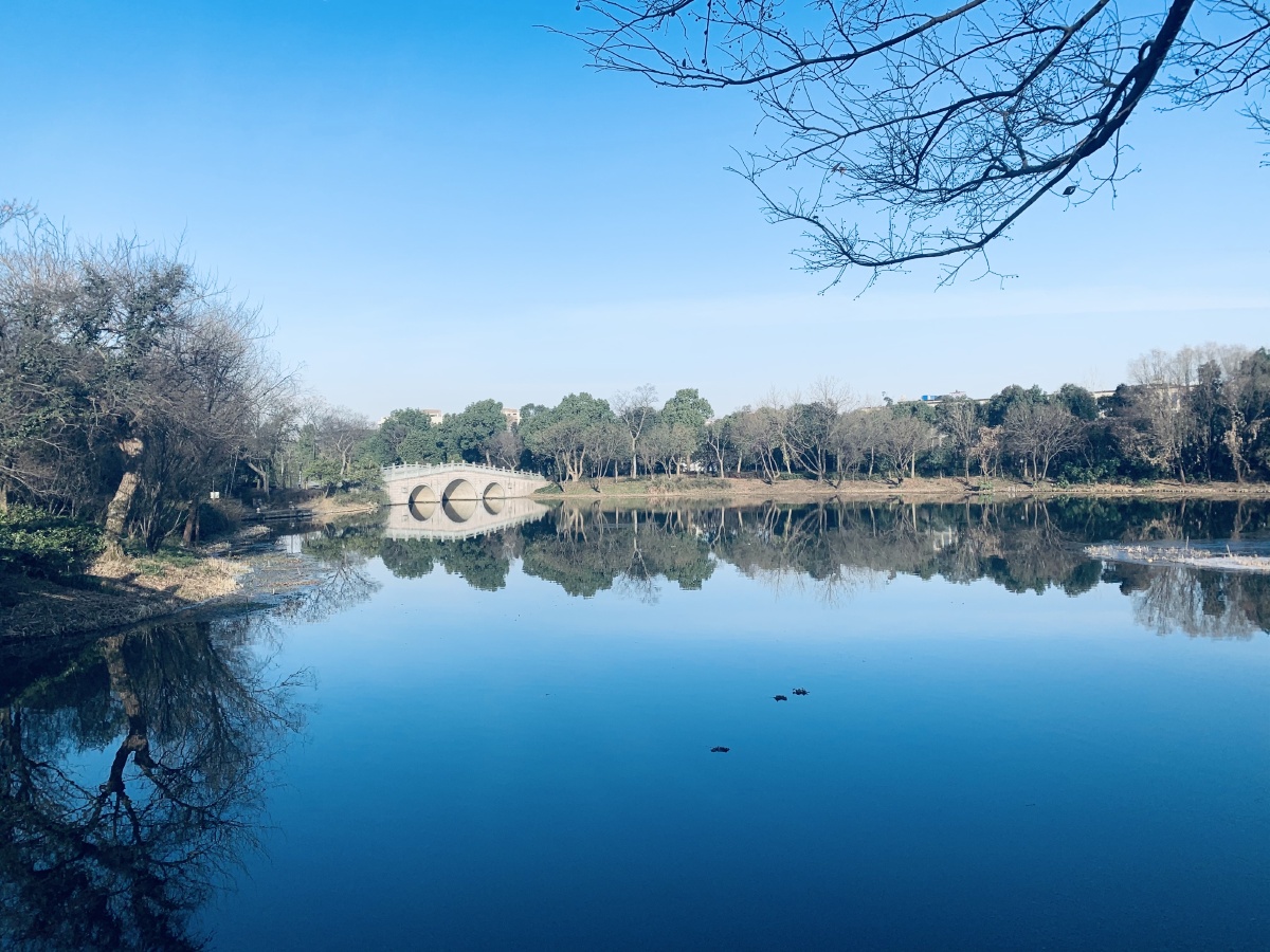 冬日里的杭州西溪湿地公园西溪宾馆外景