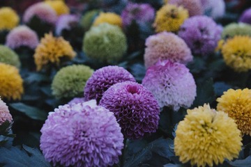 4B0688D6-D408-4E58-8657-0D561307B79F/L0/001