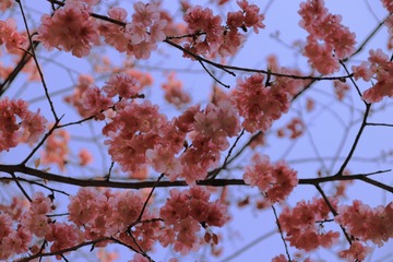 76F823C9-3B3E-4817-AFF4-F1019F8D698B/L0/001