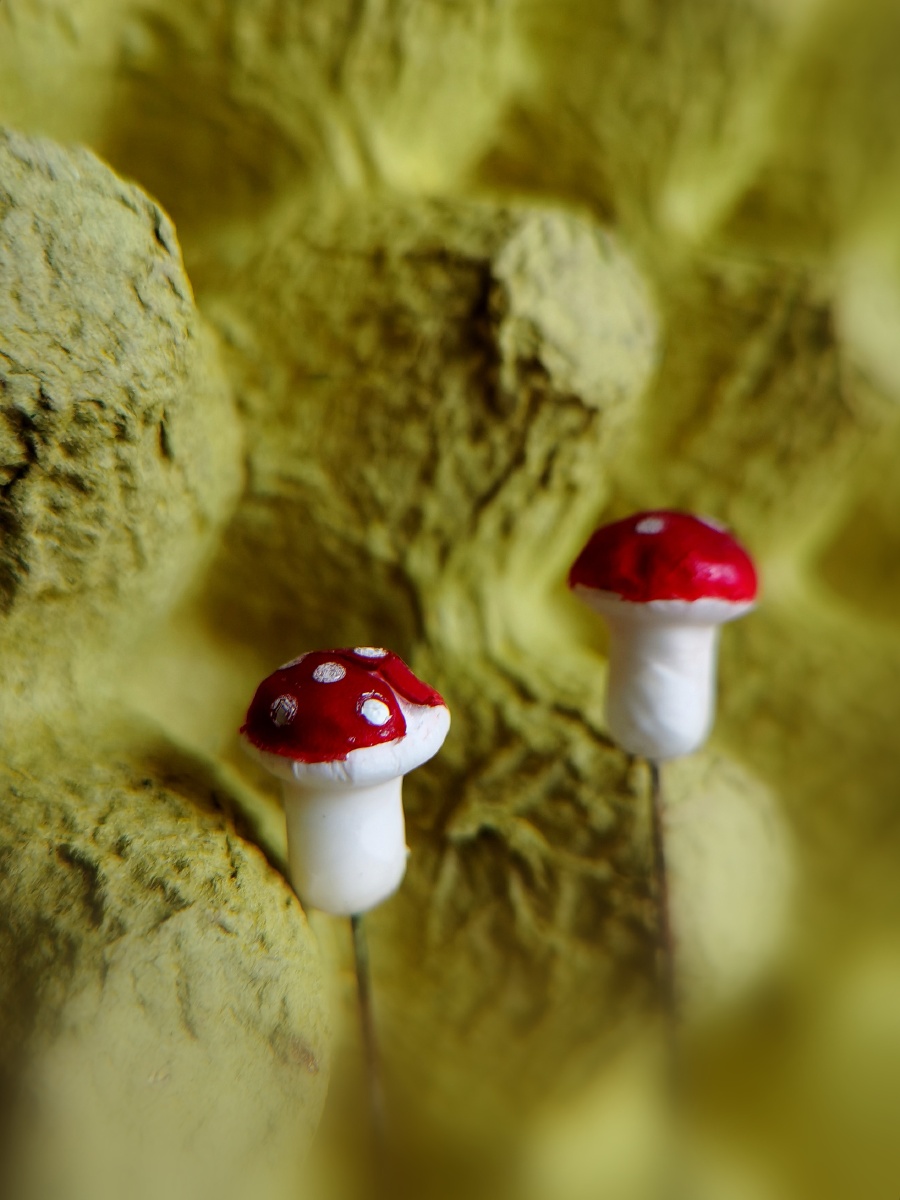 两朵可爱的小蘑菇