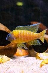 2014111