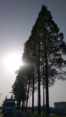 1278829