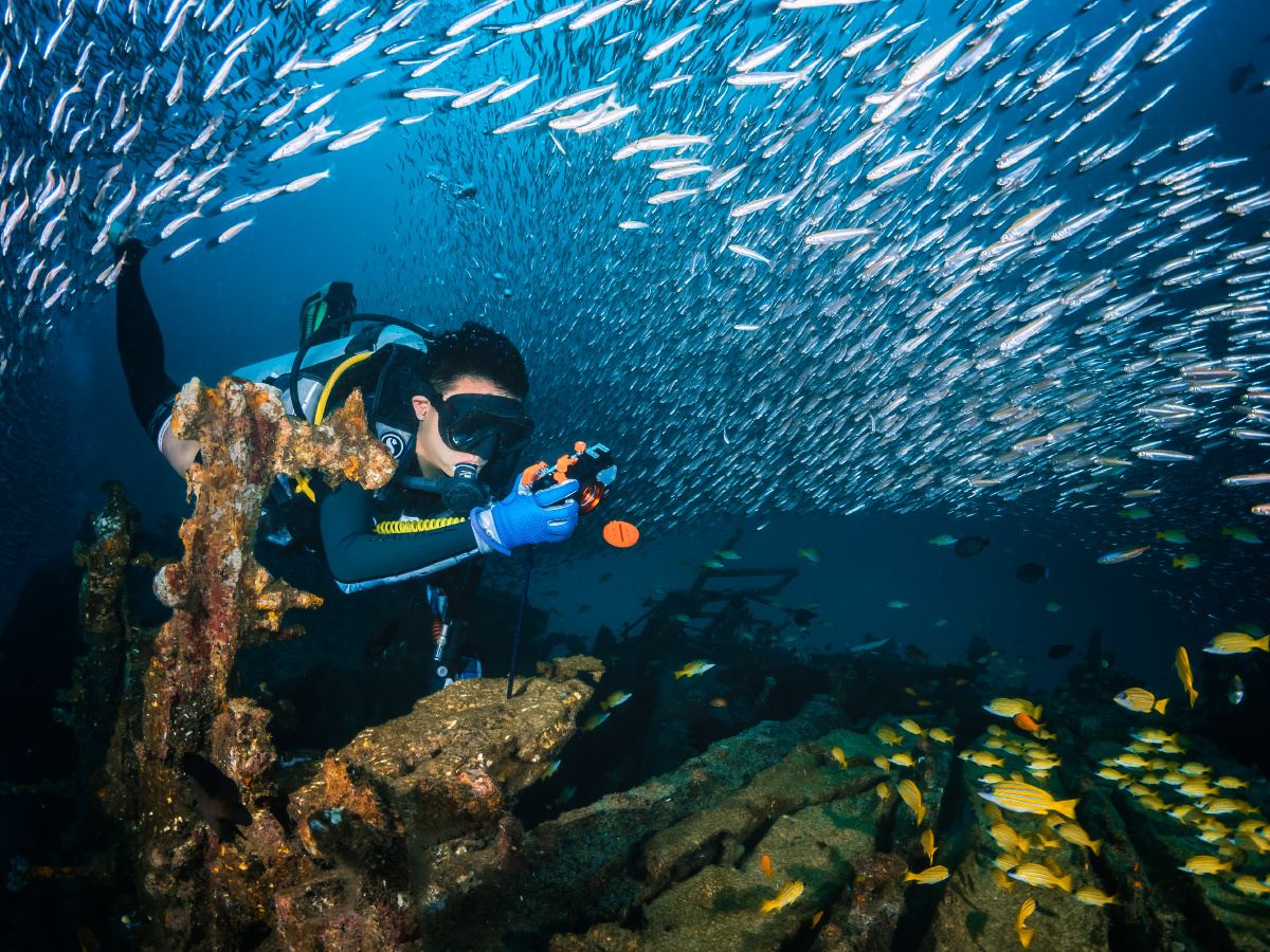 潜水- 飞天潜海的摄影师ray