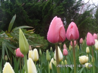 039C0698-CCDC-4069-90FD-9C20A5D3EAC5/L0/001