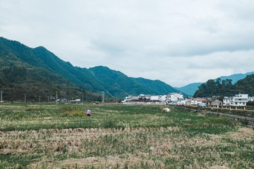 1000013526