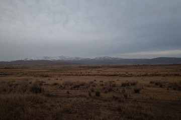 1414853726