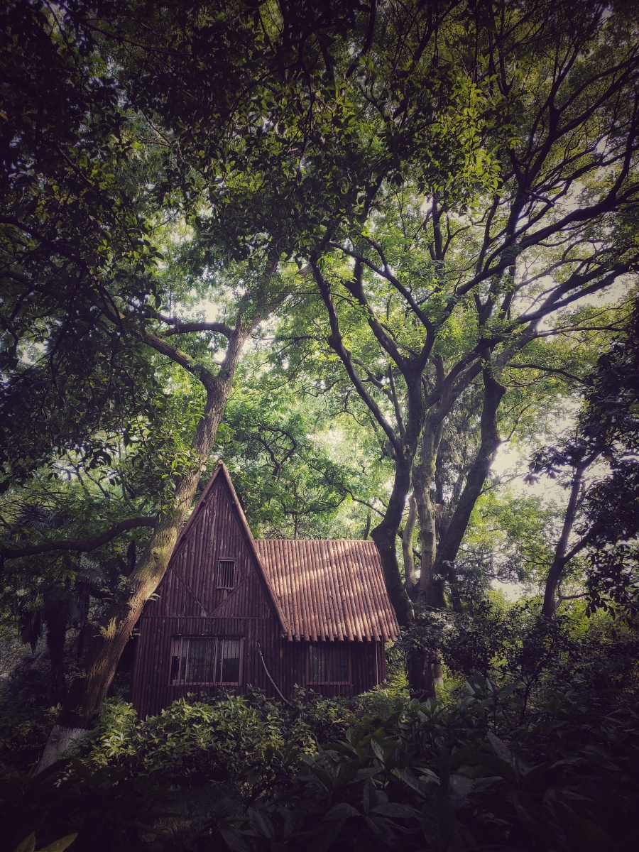 林中小屋 - yang1727 - 图虫