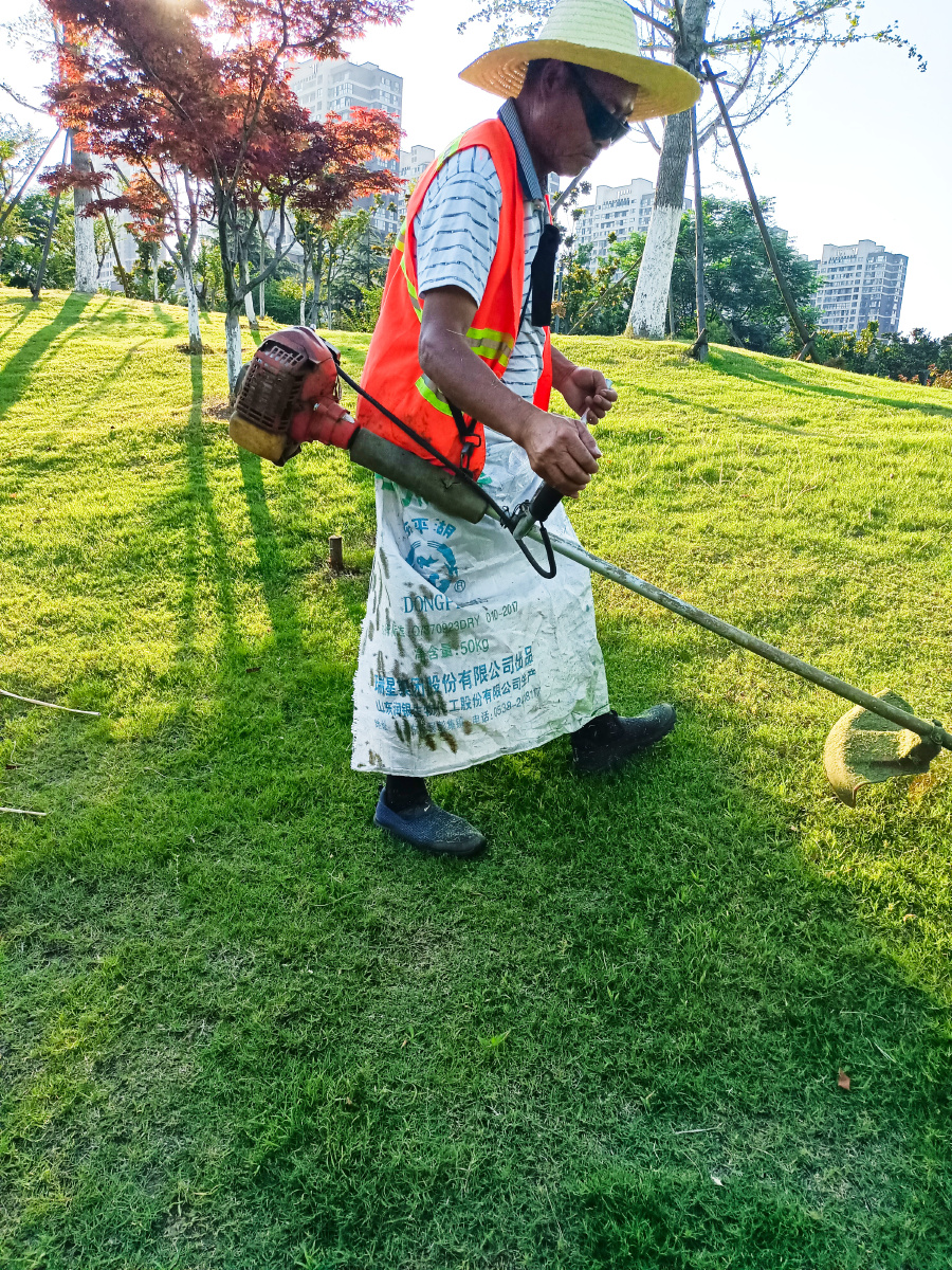 除草的园林工作者皮肤被晒的黝黑发亮