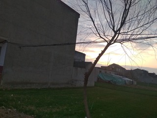 81340
