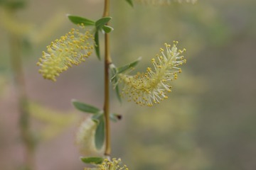 4900D230-12F6-4894-B3D2-BE6144007DA2/L0/001