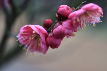 3AE7799D-E518-4D9C-9726-579FF05701B9/L0/001