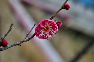 DB813277-88C2-4924-BD80-D811B92E629F/L0/001