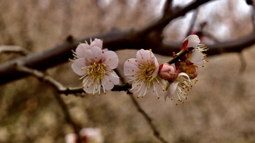 E9013081-E244-497F-9937-7B936B022D5F/L0/001
