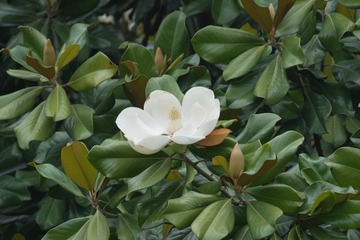 46EC8FD6-3E87-496A-9971-2183F2EEF0E5/L0/001