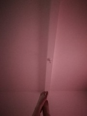 1490529