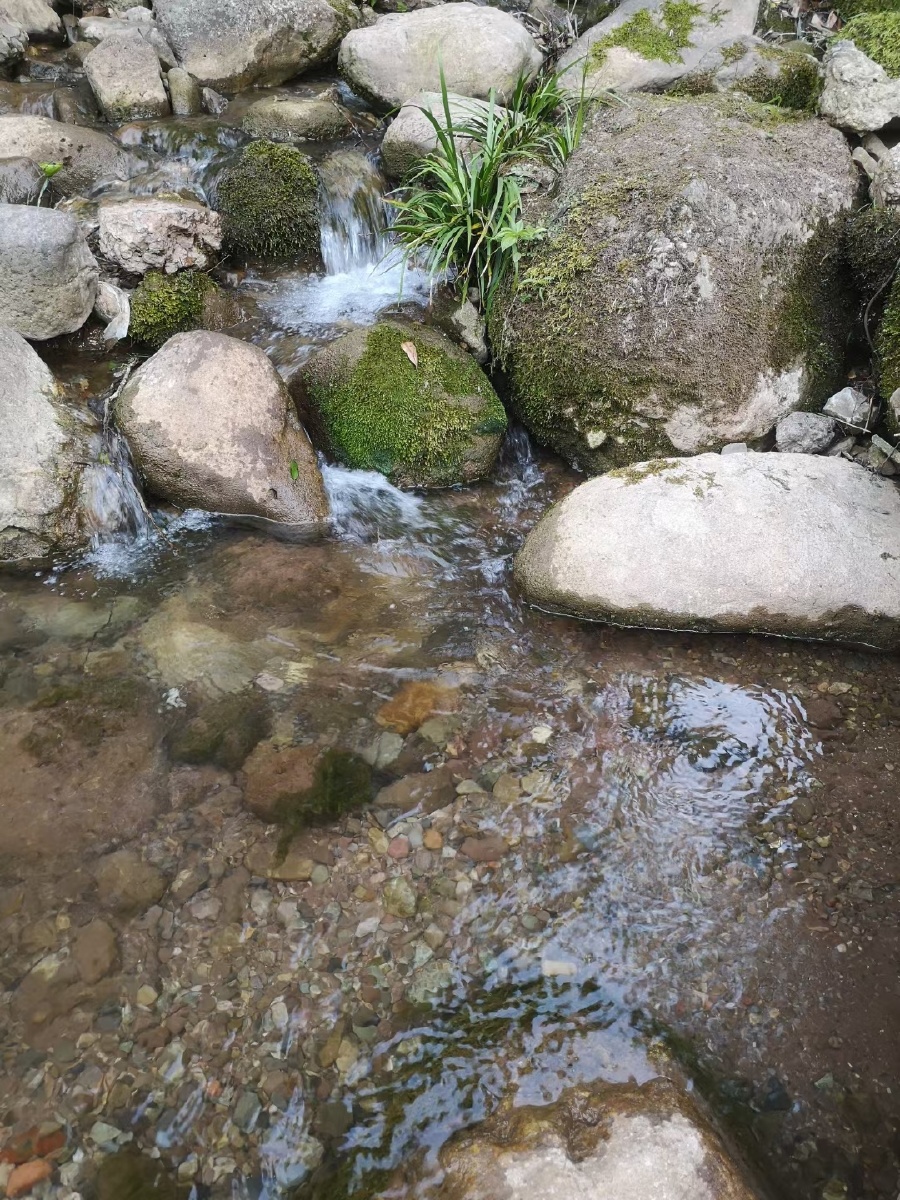 有石头的小溪流水
