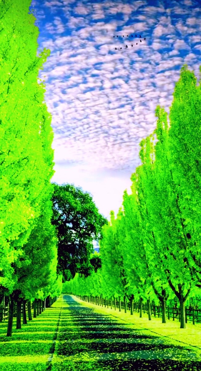 ȥܴȻɵòо