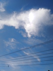 330