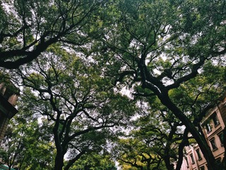 04CFE63D-85B8-4E99-BC7B-4E997AAEF3D9/L0/001