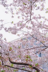 0B18393D-71B9-4B25-A6D7-BD1EAFEF20A1/L0/001