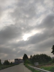 68846