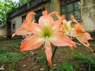 200712