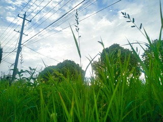 4D285D2F-9744-475F-8903-A41E93DC324A/L0/001