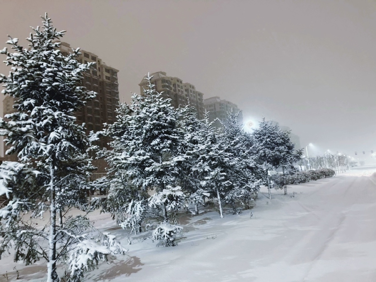 冬日夜晚的雪景