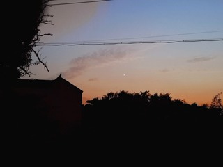 2250414