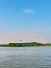 CA030B5A-5B2B-4CD0-B5DA-56897B061166/L0/001