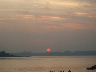 D737D5D5-E909-4A93-B564-DEB0F7D1F0A9/L0/001