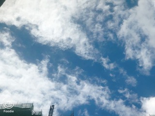 CDB870F9-689E-4E5D-B998-6A3D0458A9E4/L0/001