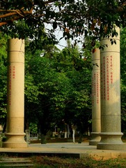 1000136878